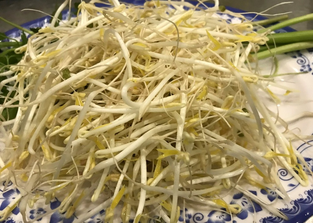 [SM-0000] Giá Sạch - Sao Mai (giá đậu xanh)